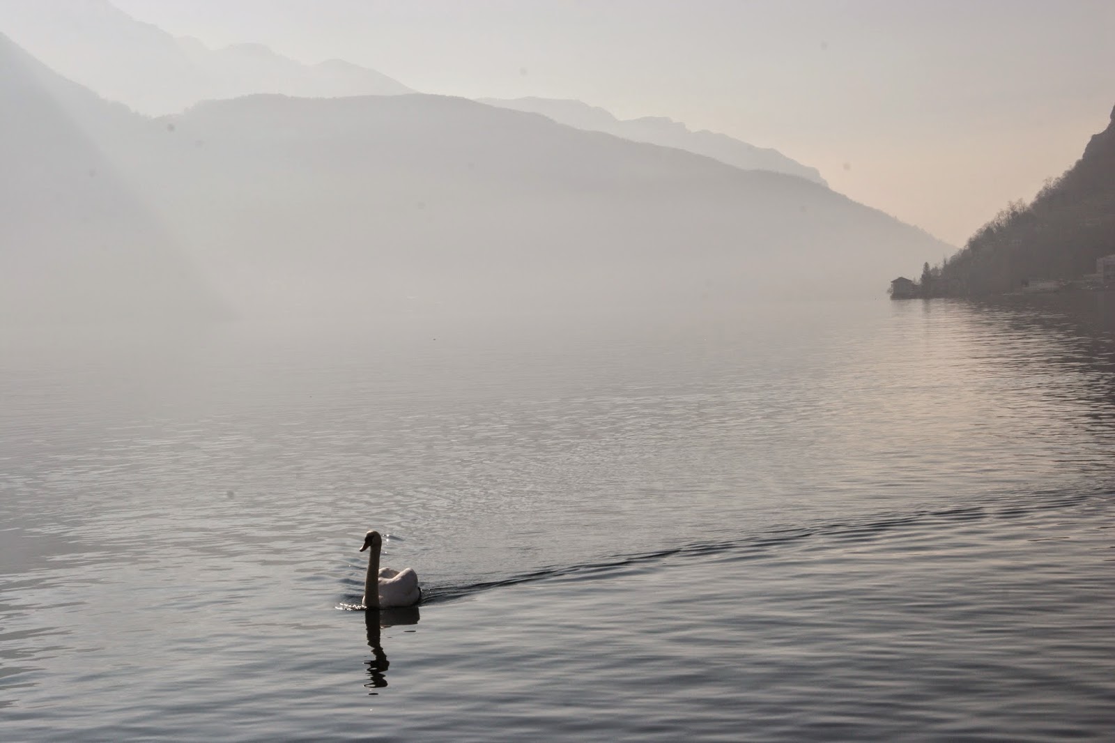 Il vaporoso lago di Lugano, nella poesia di Luigi Pirandello